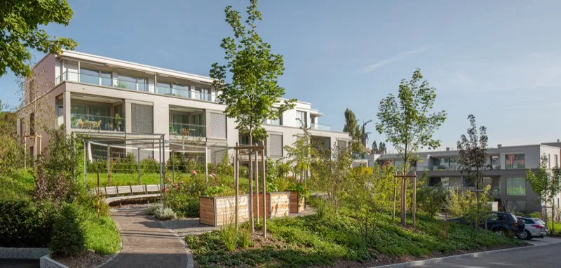 2MFH Wolfgrabenstrasse, Langnau a.A.